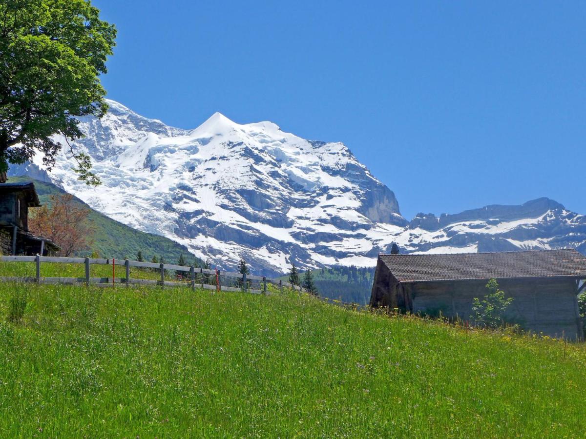 Apartment Tschingelhorn By Interhome Wengen Zewnętrze zdjęcie